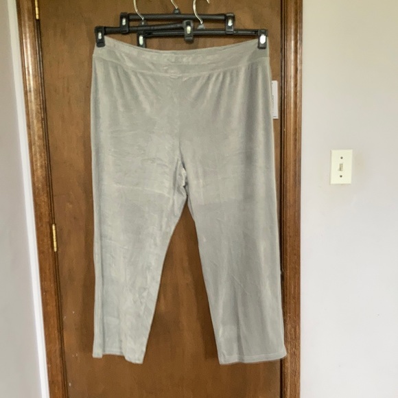 2 pairs Sportelle gray velour velvet soft comfy pull on pant 2X - Picture 3 of 15